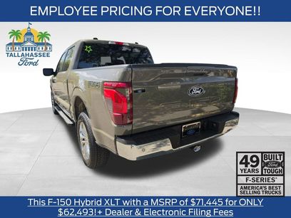 New 2026 Ford F150 XLT w/ Equipment Group 302A MID