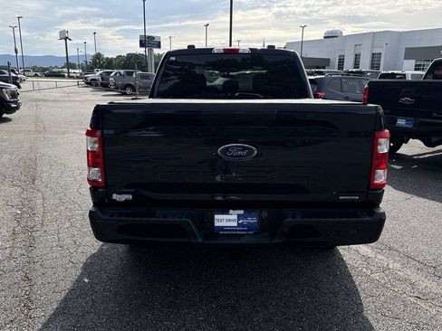Used 2023 Ford F150 XL w/ STX Appearance Package RWD image 6