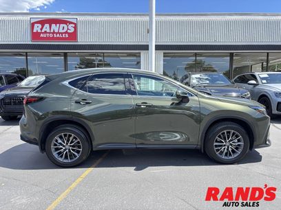 Used 2025 Lexus NX 350h AWD w/ Cold Area Package