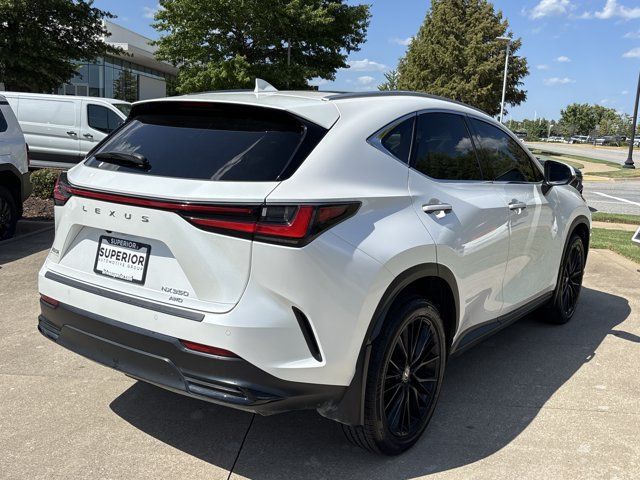 Used 2024 Lexus NX 350 AWD w/ Vision Package image 3