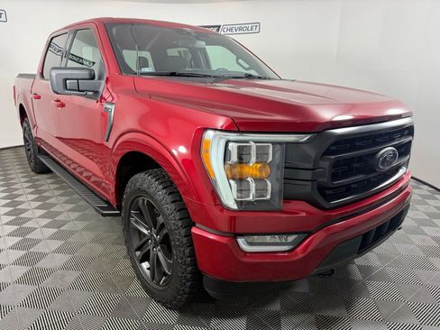 Used 2021 Ford F150 XLT w/ Equipment Group 302A High AWD/4WD image 8