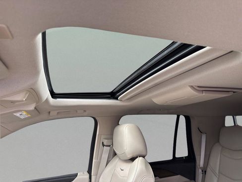 Used 2019 Cadillac Escalade Luxury image 12