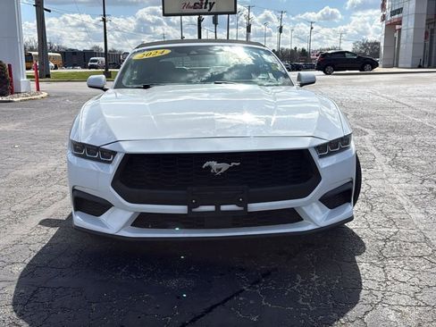 Used 2024 Ford Mustang Premium image 2