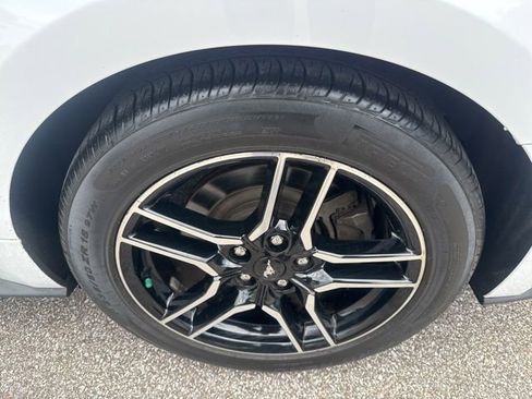 Used 2019 Ford Mustang GT Premium RWD image 13