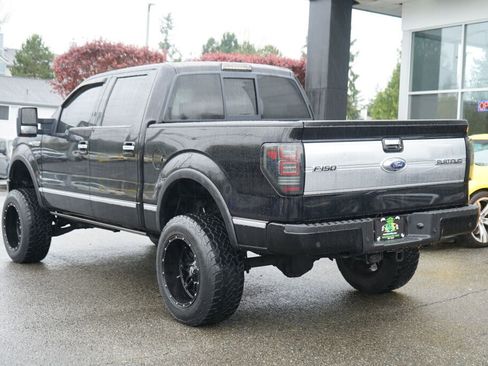 Used 2009 Ford F150 Platinum image 3