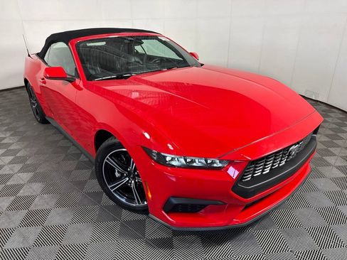 Used 2025 Ford Mustang Premium RWD image 2