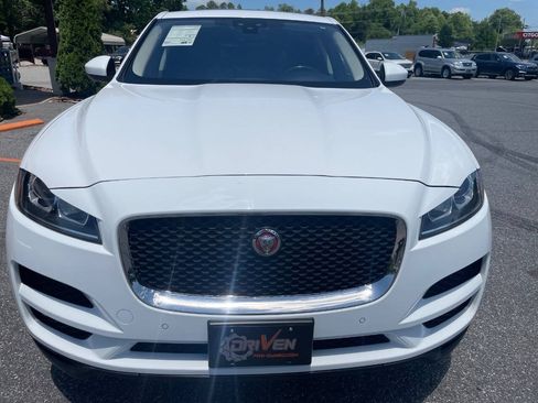 Used 2019 Jaguar F-PACE AWD/4WD image 5