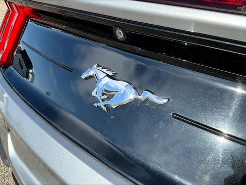 Used 2022 Ford Mustang Convertible w/ Equipment Group 101A image 8