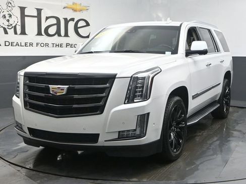 Used 2019 Cadillac Escalade Luxury image 7