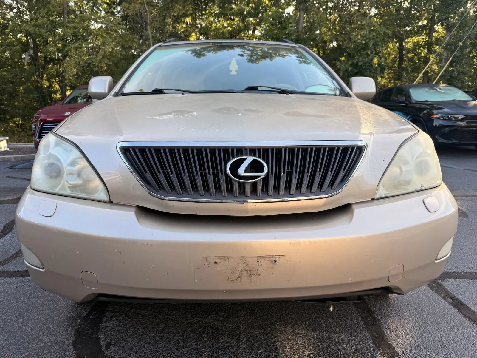 Used 2004 Lexus RX 330 FWD image 6