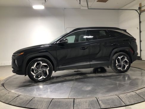 Used 2023 Hyundai Tucson Limited image 4