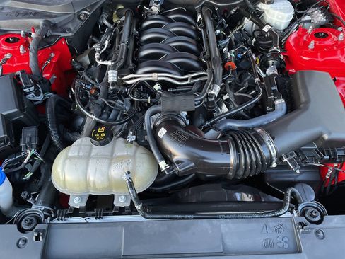 Used 2021 Ford Mustang GT w/ Equipment Group 301A image 13