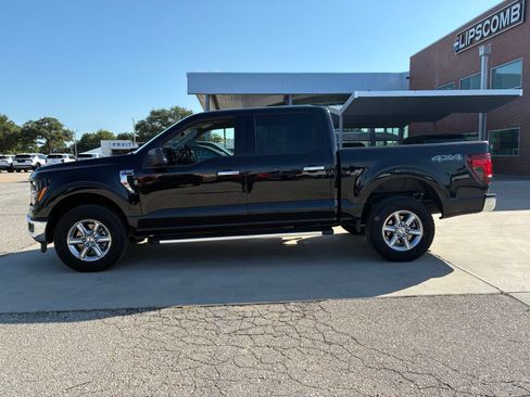 Used 2025 Ford F150 XLT w/ Equipment Group 301A Standard AWD/4WD image 2