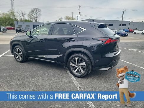 Used 2019 Lexus NX 300 AWD w/ Premium Package image 3
