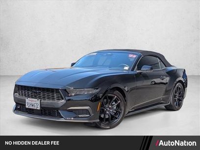 Used 2025 Ford Mustang Convertible w/ Mustang Nite Pony Package