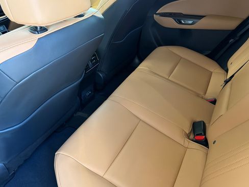 Certified 2024 Lexus NX 250 FWD image 15