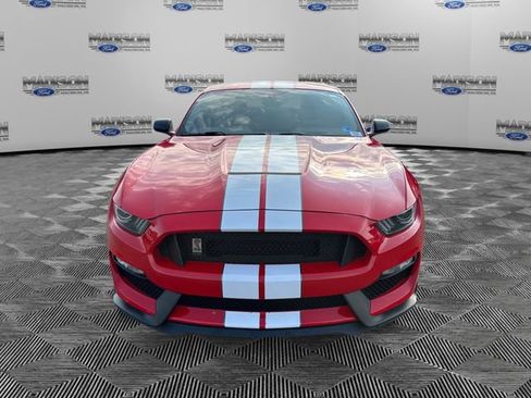 Used 2019 Ford Mustang Shelby GT350 RWD image 8