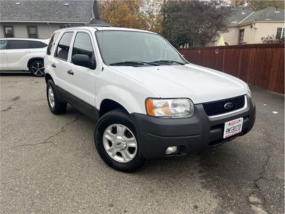 Used 2003 Ford Escape XLT