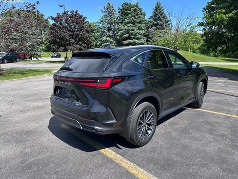 Used 2024 Lexus NX 350h AWD image 3