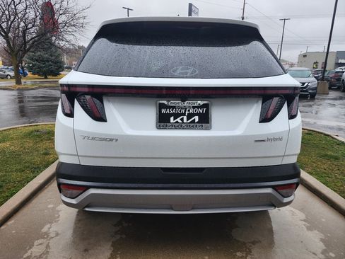 Used 2025 Hyundai Tucson Limited image 6