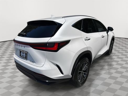 Used 2025 Lexus NX 250 FWD w/ Cold Area Package image 6