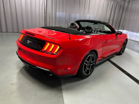 Used 2021 Ford Mustang Premium image 7