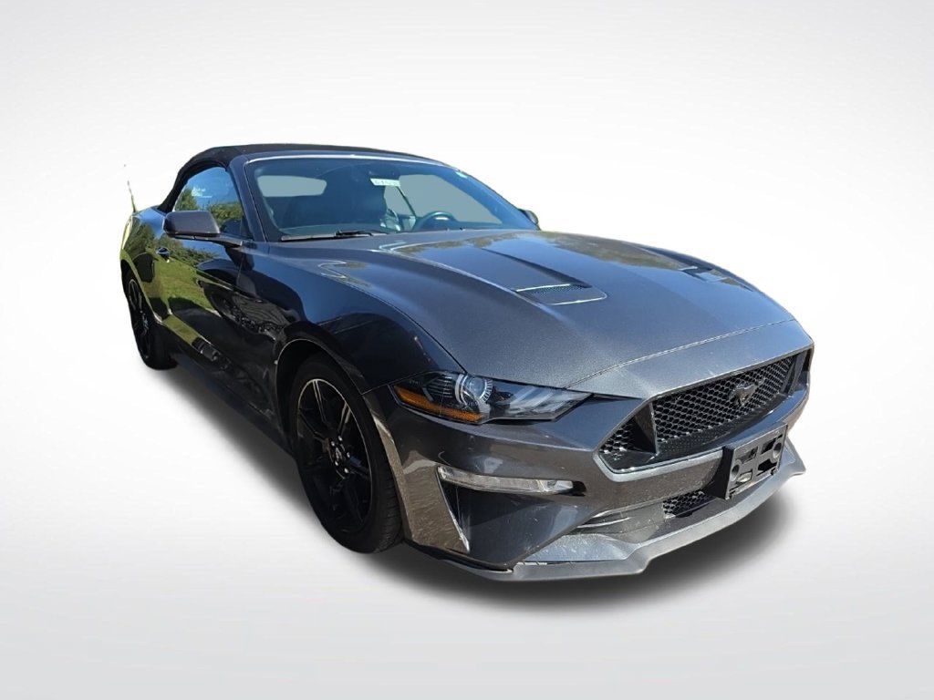 Used 2019 Ford Mustang GT Premium w/ Equipment Group 401A RWD image 2