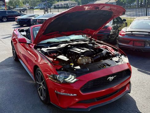 Used 2018 Ford Mustang Premium w/ Wheel & Stripe Package RWD image 4