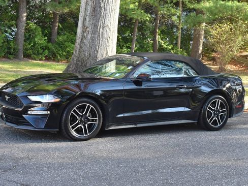 Used 2019 Ford Mustang Premium image 16