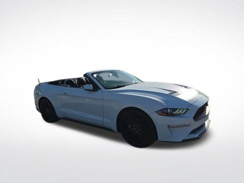 Used 2020 Ford Mustang Premium w/ Equipment Group 201A image 1