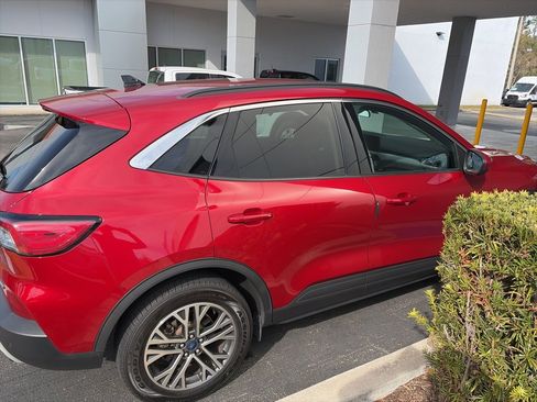 Used 2020 Ford Escape SEL image 5