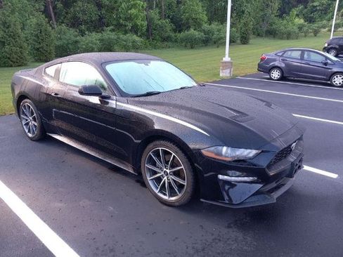 Certified 2019 Ford Mustang Coupe w/ Equipment Group 101A RWD image 5