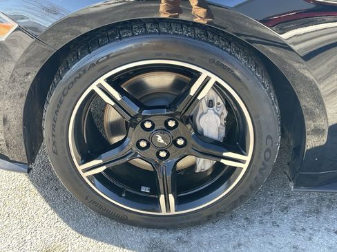 Used 2019 Ford Mustang GT Premium w/ Equipment Group 401A image 10