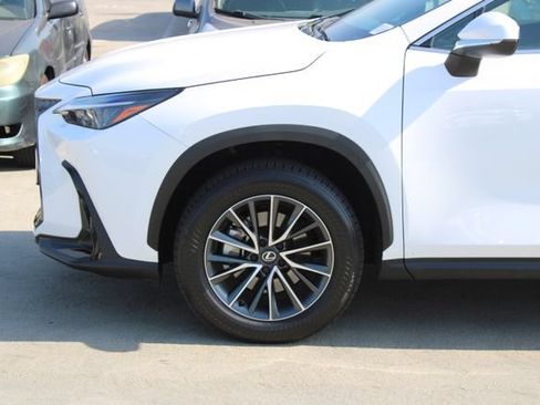 Certified 2026 Lexus NX 350h AWD w/ Cold Area Package image 4