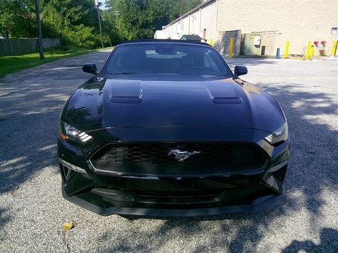 Used 2023 Ford Mustang Premium RWD image 8