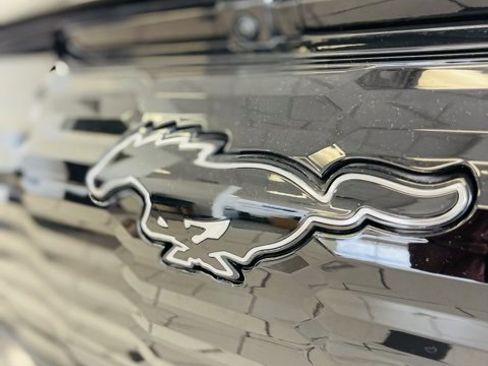 New 2025 Ford Mustang Mach-E GT w/ Interior Protection Package image 18