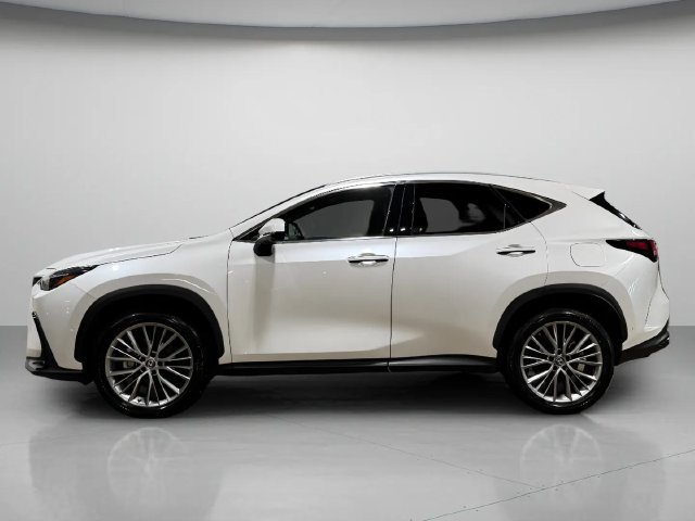 Certified 2025 Lexus NX 350h AWD w/ Cold Area Package image 7