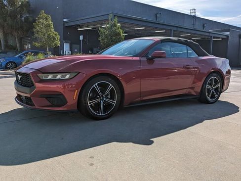 Used 2024 Ford Mustang Premium image 10