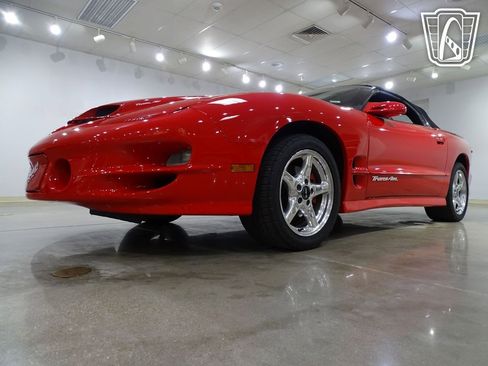 Used 1999 Pontiac Firebird Trans Am image 5