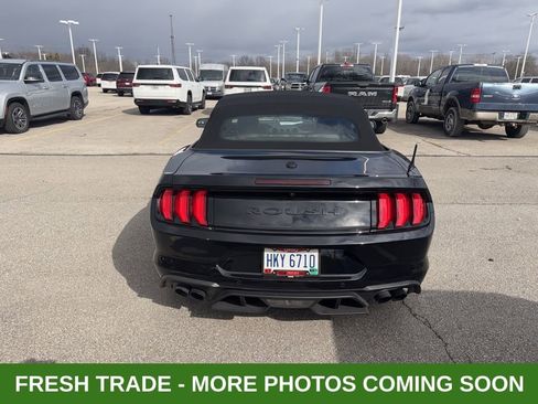 Used 2019 Ford Mustang GT Premium w/ GT Performance Package image 3