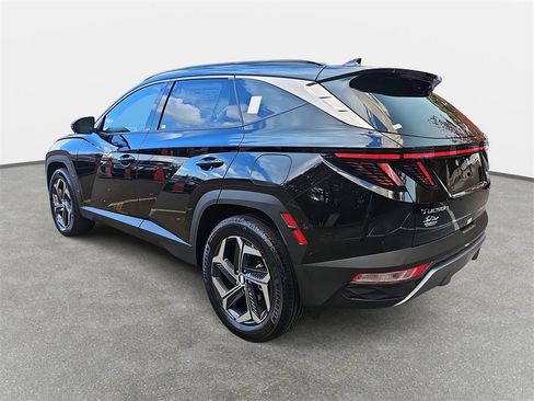 New 2024 Hyundai Tucson Limited image 7