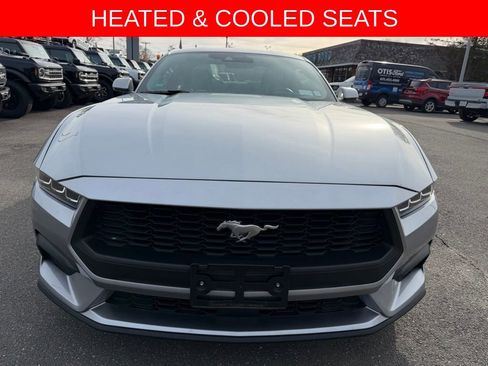Certified 2024 Ford Mustang Premium RWD image 2