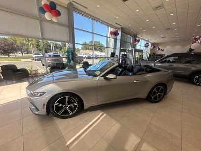 Used 2024 Ford Mustang Premium