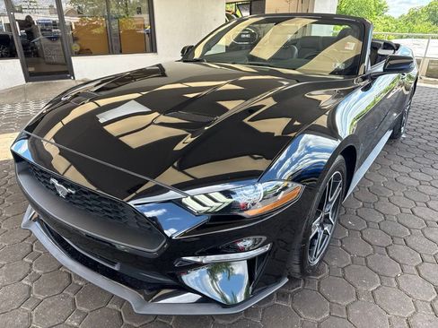 Used 2019 Ford Mustang Premium RWD image 23