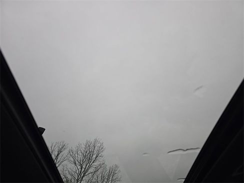 New 2025 Hyundai Elantra Limited image 22