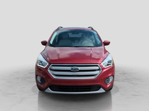 Used 2019 Ford Escape SEL AWD/4WD image 3