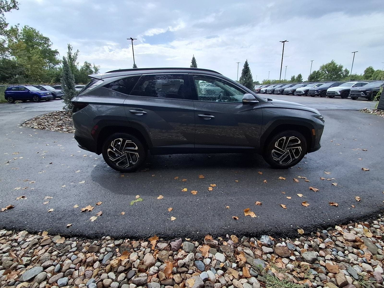 New 2026 Hyundai Tucson Limited AWD/4WD image 6
