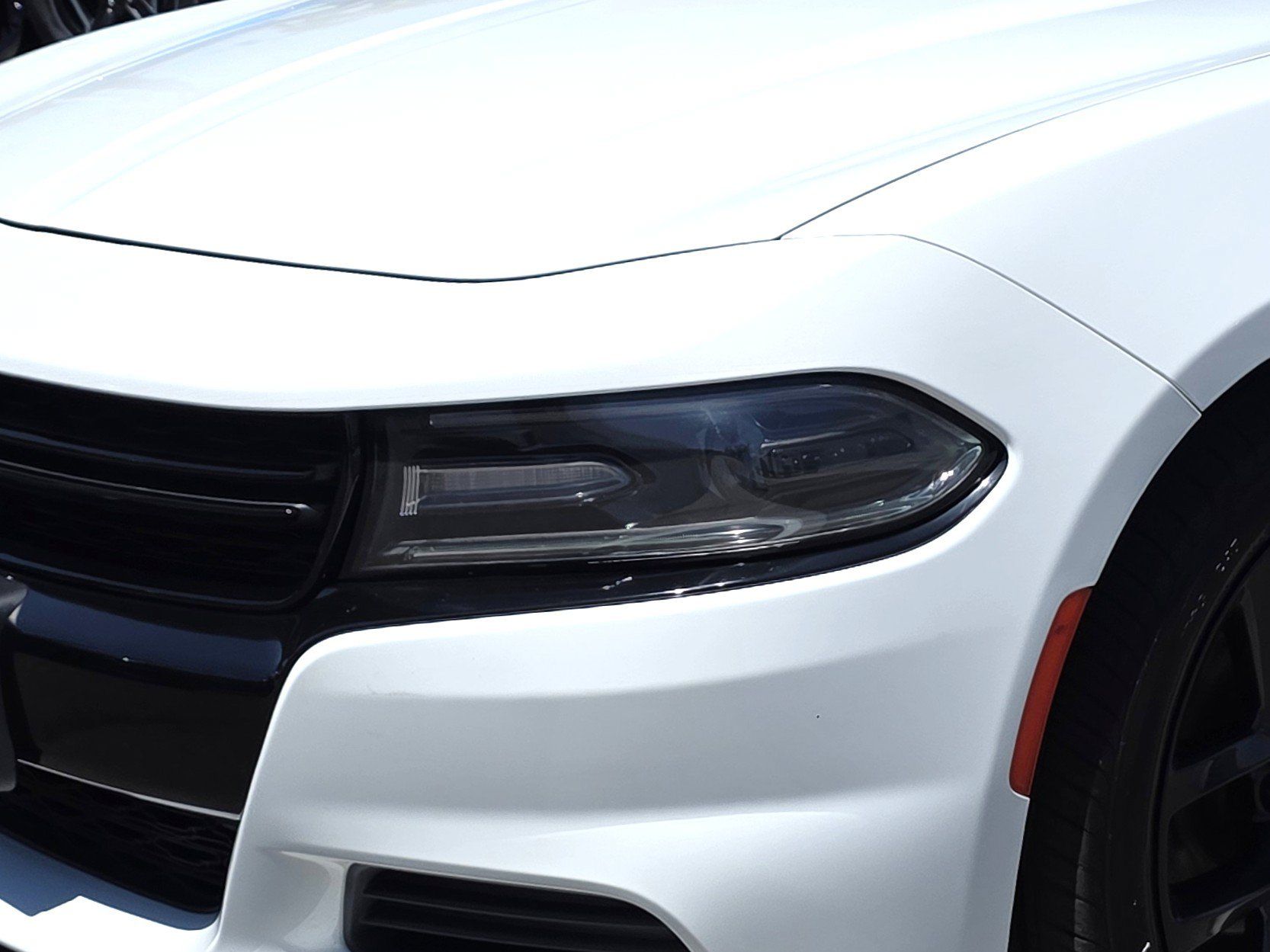 Used 2020 Dodge Charger SXT w/ Blacktop Package RWD image 8