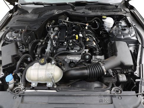 Used 2023 Ford Mustang Coupe w/ Equipment Group 101A RWD image 48