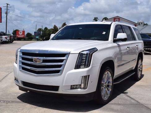 Used 2019 Cadillac Escalade Luxury RWD image 1